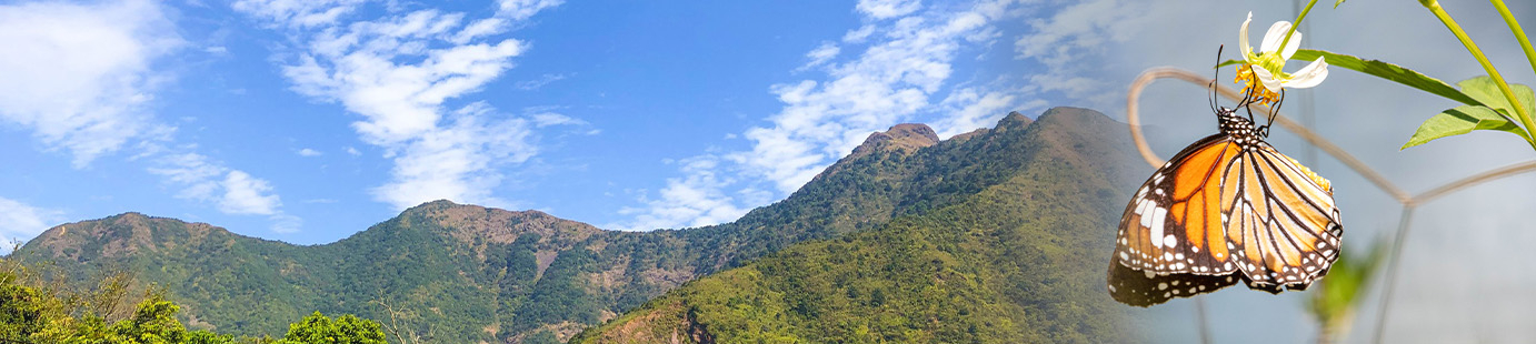 自然環境保育banner