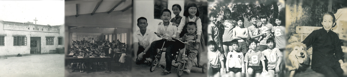 鄉村Banner2